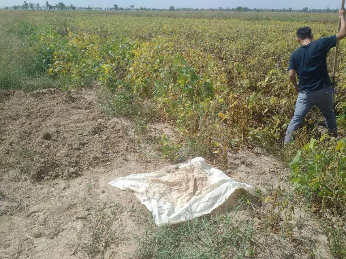 HJC888黄金城·(中国集团)官网