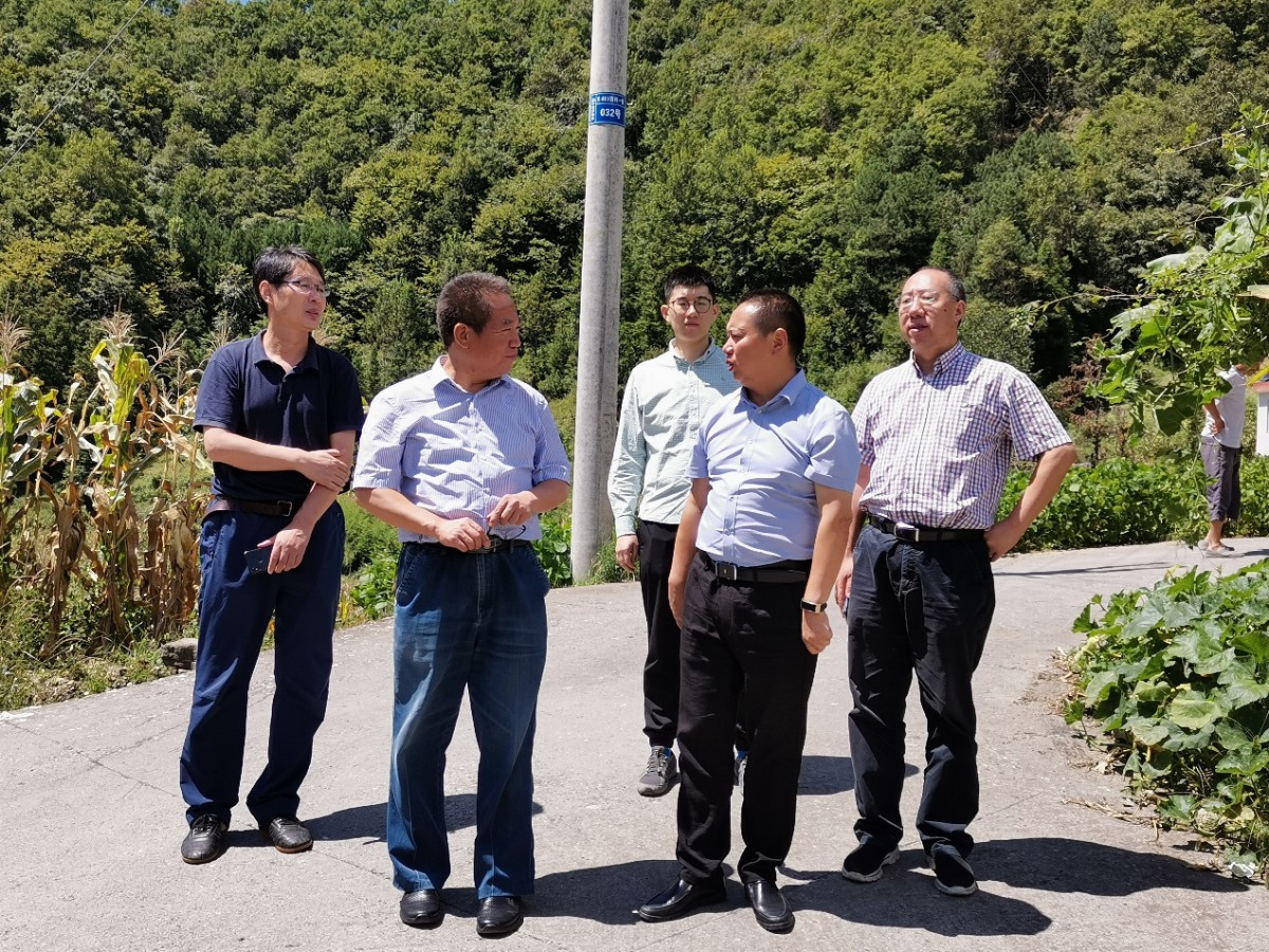 HJC888黄金城·(中国集团)官网