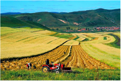 HJC888黄金城·(中国集团)官网