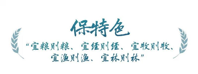 HJC888黄金城·(中国集团)官网
