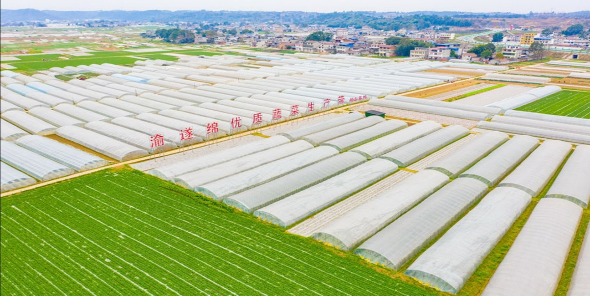 HJC888黄金城·(中国集团)官网