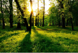 HJC888黄金城·(中国集团)官网