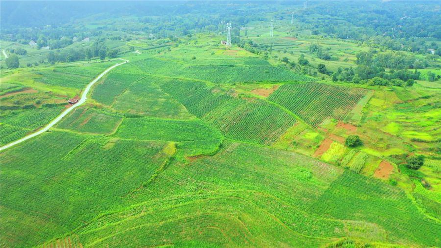 HJC888黄金城·(中国集团)官网