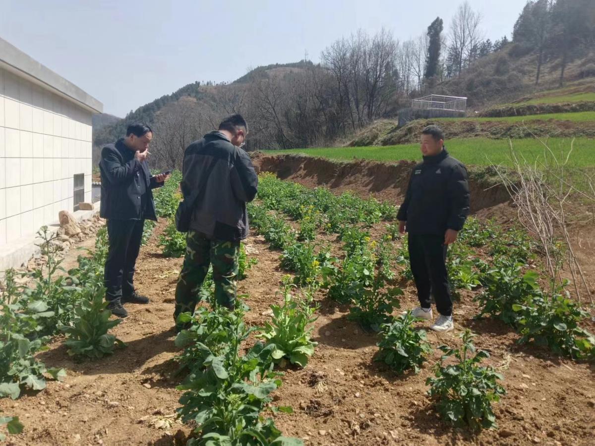 HJC888黄金城·(中国集团)官网