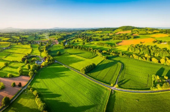 HJC888黄金城·(中国集团)官网