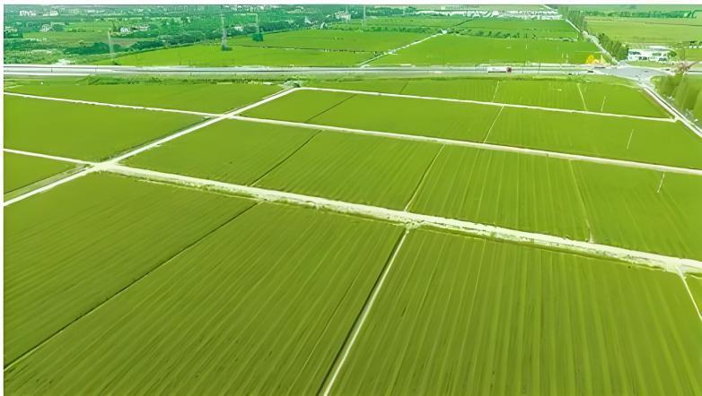 HJC888黄金城·(中国集团)官网