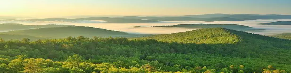 HJC888黄金城·(中国集团)官网